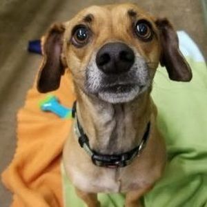 Meet your Posher, Bethany